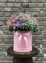Цветочная композиция из Гипсофила и Розы в шляпной коробке в Кабанске