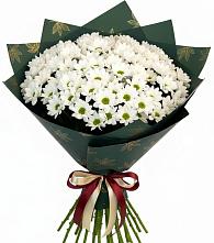 Букет цветов из:  Хризантемы #REPLACE_PRED# Кабанске