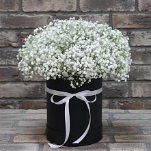 Цветочная композиция из Гипсофила в шляпной коробке #REPLACE_PRED# Кабанске