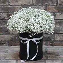 Цветочная композиция из Гипсофила в шляпной коробке в Кабанске