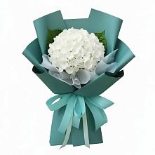 Букет цветов из:  Гортензия #REPLACE_PRED# Кабанске